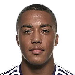 Y. Tielemans