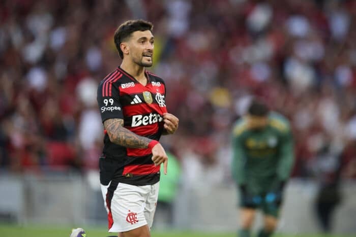 flamengo v gremio brasileirao 2025