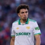 el aynaoui 2