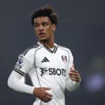 fulham v west ham united premier league