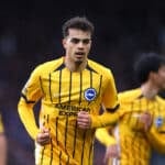 fulham v brighton and hove albion premier league