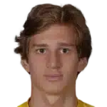 A. Popovic