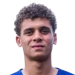 H. Abdelkarim