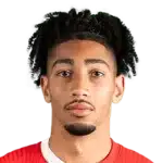 N. Saliba