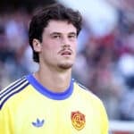 svilar 8