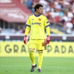 svilar2